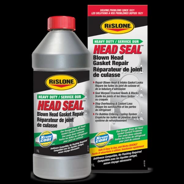 Head Seal